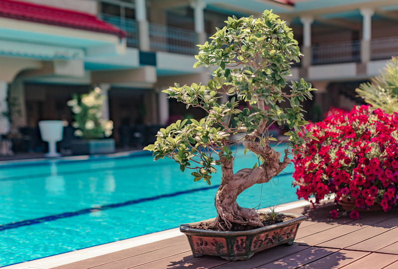 Vox Maris Grand Resort (Adults Only) Costinești Exterior foto